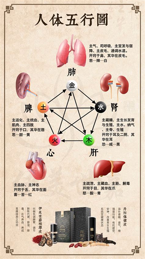 土性人|中医五行与性格：土性人③